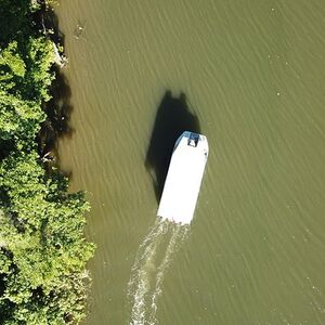 Veranstaltung: 1-Hour Daintree River wildlife cruise, 2856 Mossman Daintree Rd in Port Douglas