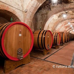 Veranstaltung: Montepulciano: Visita guidata al vigneto + degustazione di vini, Tuscany Wine Tasting in Montalcino