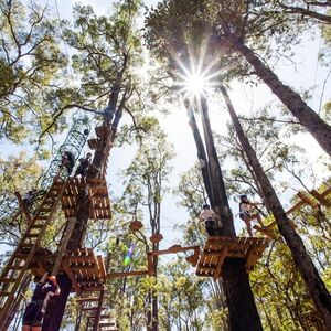 Veranstaltung: Dwellingup: Treetops Adventure, Treetops Adventure Dwellingup in Dwellingup