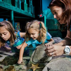 Veranstaltung: SEA LIFE Istanbul: Entry Ticket, SEA LIFE Istanbul in Istanbul