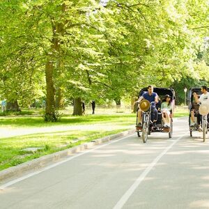 Veranstaltung: Central Park: Pedicab Guided Tour, New York in new york city