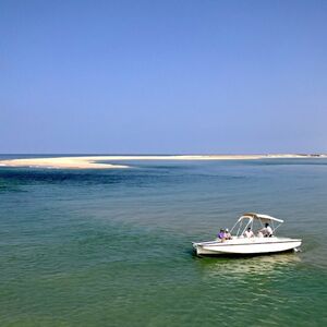 Veranstaltung: Ria Formosa: Passeio de barco ecológico com observação de aves a partir de Faro, Faro Cruises in Faro