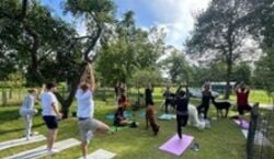 Veranstaltung: Bier-Yoga zwischen Alpakas, Hägerzeit in Münster