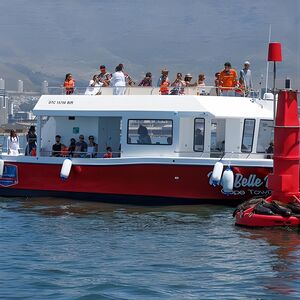 Veranstaltung: 30min Harbour Boat Cruise Cape Town, Waterfront Boat Tours in Cape Town