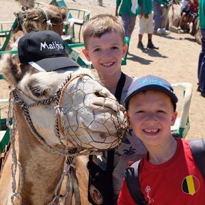 Veranstaltung: Paseo en camello por las dunas de Maspalomas, Camel Safari in Las Palmas de Gran Canaria