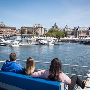 Veranstaltung: Half-Day Whale Watching Adventure from Victoria, 812 Wharf St in Victoria