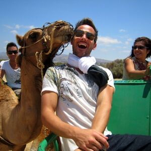 Veranstaltung: Paseo en camello por las dunas de Maspalomas, Camel Safari in Las Palmas de Gran Canaria