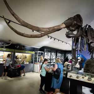 Veranstaltung: National Dinosaur Museum: Skip The Line Ticket, National Dinosaur Museum in Nicholls