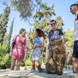 Veranstaltung: Acropolis of Athens: Entry Ticket + Guided Tour, Acropolis of Athens in Athens