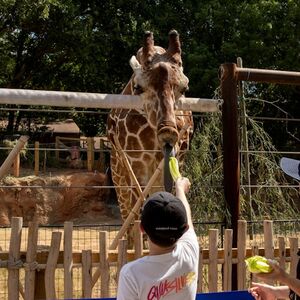 Veranstaltung: Zoo Atlanta: Entry Ticket, Zoo Atlanta in Atlanta