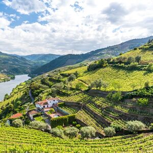 Veranstaltung: Braga, Aveiro & Douro Valley: Day Trip from Porto + Wine Tasting, Douro Valley Day Trips from Porto in Porto