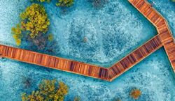 Veranstaltung: Jubail Mangrove Park: Boardwalk Experience Tour, Jubail Mangrove Park in Abu Dhabi
