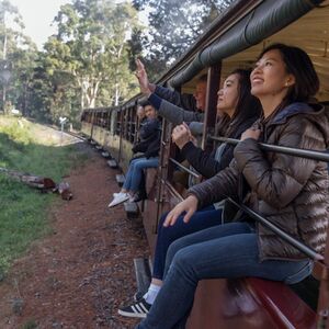 Veranstaltung: Puffing Billy Railway: Ride & Wildlife Tour + Transfers, Puffing Billy Railway in Belgrave