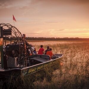 Veranstaltung: Everglades: 1-Hour Boggy Creek Night Airboat Tour, Daytona Beach Day Trips from Orlando in Orlando