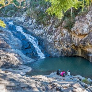 Veranstaltung: Tamborine Mountain: Hop-on Hop-off Bus from Brisbane, Hop-on Hop-off Tours Brisbane in Brisbane