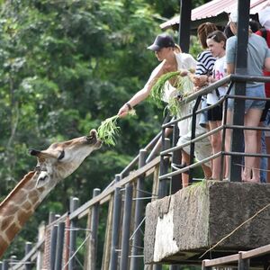 Veranstaltung: Khao Kheow Open Zoo: Entry Ticket, Khao Kheow Open Zoo in Chon Buri