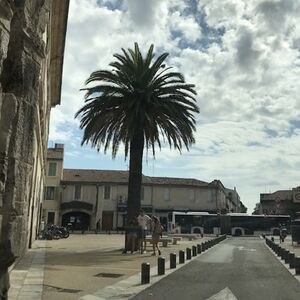 Veranstaltung: Nimes: Self-Guided Audio Tour, Nîmes CIty Tours in Nîmes