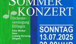 Veranstaltung: Sommerkonzert, Schloss Dillingen in Dillingen
