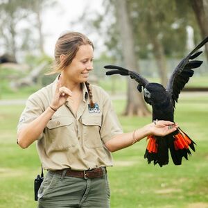 Veranstaltung: Oakvale Wildlife Park: Entry Ticket, Oakvale Wildlife Park in New South Wales