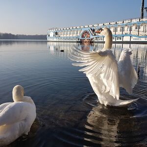 Veranstaltung: Berlin: 2-stündige Oberhavel-Kreuzfahrt, Berlin in berlin