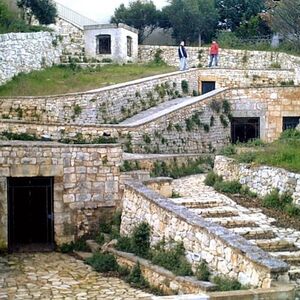 Veranstaltung: Villa Castelli: tour a piedi con degustazione di olio d'oliva, Villa Castelli Tours in Villa Castelli