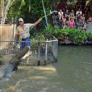 Veranstaltung: Hartley's Crocodile Adventures: Entry Ticket, Hartley's Crocodile Adventures in Wangetti