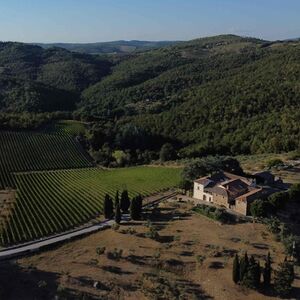 Veranstaltung: Siena: Degustazione di vini + Bruschetta in un vigneto toscano, Tenuta Mocenni: Bindi Sergardi in Vagliagli