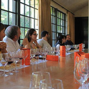 Veranstaltung: Concha y Toro Marques Vineyard Tour, Monjitas 821 in Santiago