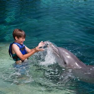 Veranstaltung: Xcaret Dolphin Tour Plus y nado con delfines, Delphinus Xcaret in Playa del Carmen