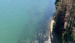Event: Vancouver: Guided Bike and Hike with Picnic Lunch, Vancouver Outdoor Activities in Vancouver