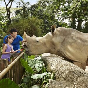 Veranstaltung: 2-in-1 Park Hopper: Singapore Zoo + River Wonders, Singapore Zoo in Singapore