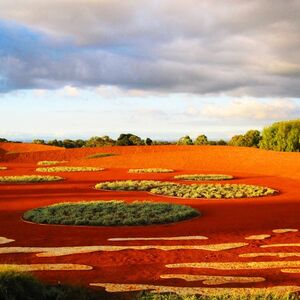 Veranstaltung: The Explorer - Cranbourne Gardens, Royal Botanic Gardens Cranbourne in Cranbourne