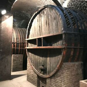 Veranstaltung: Muvis Museo Del Vino, Museo del Vino Viterbo in Castiglione in Teverina