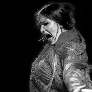 Veranstaltung: Juncal Tablao Ciudad de México: Espectáculo Flamenco + Cena Opcional, Juncal Tablao Flamenco in Mexico City