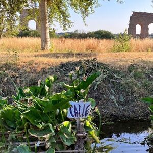 Veranstaltung: Escursione urbana nell'antico Parco Degli Acquedotti, Rome Walking Tours in Rome