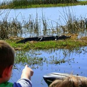 Veranstaltung: Wild Florida 30-minute Everglades Airboat Tour, Daytona Beach Day Trips from Orlando in Orlando