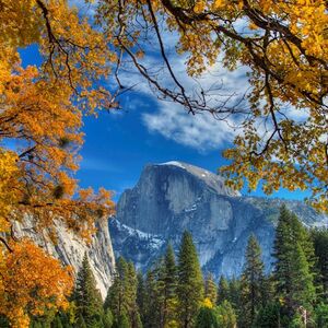 Veranstaltung: From San Francisco: Full Day Yosemite and Giant Sequoia Tour, Yosemite Day Trips from San Francisco in San Francisco