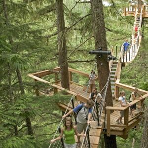 Veranstaltung: Whistler ZipTrek Ecotours: TreeTrek Adventure, Ziptrek Ecotours in Whistler