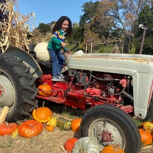 Veranstaltung: Filoli Orchard Days Admission, Filoli Historic House & Garden in Woodside