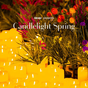 Veranstaltung: Candlelight Spring: Tributo ai Queen, Centro Congressi Giovanni Xxiii in Bergamo