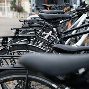 Veranstaltung: Noleggio Bici a Bari, Rentals Bari in Bari