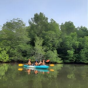 Veranstaltung: 3-4 hours Mangrove Kayaking Tour, Outdoorgate Sepang Mangrove River Kayaking in Sungai Pelek