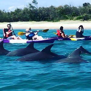 Veranstaltung: Morning Kayaking and Snorkeling Tour, 95 Marine Parade in Gold Coast