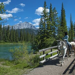 Veranstaltung: Sundance Loop Trail Ride from Banff, Banff City Tours in Banff