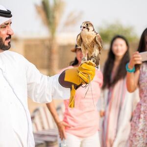 Veranstaltung: Dubai Hot Air Balloon Flight with Breakfast & Camel Ride, Dubai Hot Air Balloon Tours in Dubai