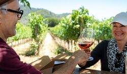 Veranstaltung: From San Francisco: Day Trip to Redwoods & Wine Country, Napa Valley Wine Tours from San Francisco in San Francisco