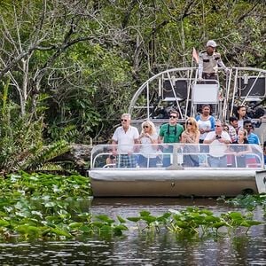 Veranstaltung: Best of Miami: Small Group City Tour with Bay Cruise and Everglades Airboat Ride, Miami City Tours in Miami