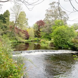 Veranstaltung: Avoca Mount Usher Gardens: Self Guided Experience, Mount Usher Gardens in Ashford