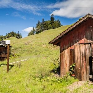 Veranstaltung: Skunk Train: Wolf Tree Turn, Skunk Train: Willits in Willits