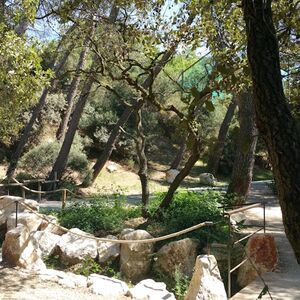 Veranstaltung: Parc animalier de la Barben : Billet d'entrée, Barben Animal Park in La Barben